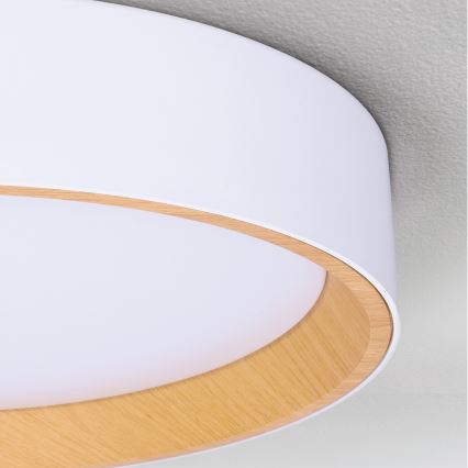 Brilagi - Dimbar LED-taklampa LARIOS LED/72W/230V 3000-6500K vit Ø 59 cm + fjärrkontroll