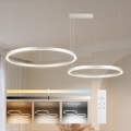 Brilagi - LED dimbar taklampa på vajer PORTOFINO LED/98W/230V 3000-6000K silverfärgad + fjärrkontroll