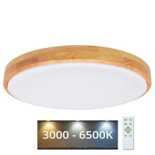 Brilagi - LED Dimbar taklampa PINE LED/60W/230V 3000-6500K + fjärrkontroll