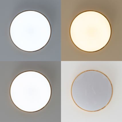 Brilagi - Dimbar LED-taklampa PINE LED/60W/230V trä Ø 52 cm 3000-6500K + fjärrkontroll