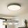 Brilagi - LED-dimbar taklampa POOL LED/48W/230V 3000-6000K pr. 40 cm grön + fjärrkontroll