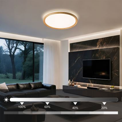 Brilagi - LED dimbar takarmatur RIVO LED/72W/230V 3000-6000K trädekor Ø 50 cm + fjärrkontroll