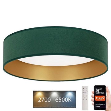 Brilagi - LED dimbar taklampa VELVET SMART LED/24W/230V Ø 45 cm 2700-6500K Wi-Fi Tuya grön/guld + fjärrkontroll
