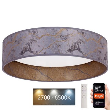 Brilagi - LED dimbar taklampa VELVET SMART LED/36W/230V Ø 55 cm 2700-6500K Wi-Fi Tuya grå/guld + fjärrkontroll