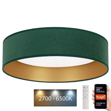 Brilagi - LED dimbar taklampa VELVET SMART LED/36W/230V Ø 55 cm 2700-6500K Wi-Fi Tuya grön/guld + fjärrkontroll