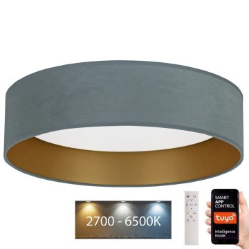 Brilagi - LED dimbar taklampa VELVET SMART LED/36W/230V Ø 55 cm 2700-6500K Wi-Fi Tuya mintgrön/guld + fjärrkontroll