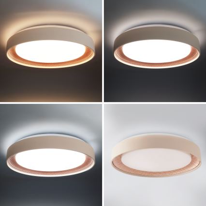 Brilagi - Dimbbar LED-takarmatur WALDO LED/48W/230V 3000-6500K Ø 40 cm beige/guld + fjärrkontroll
