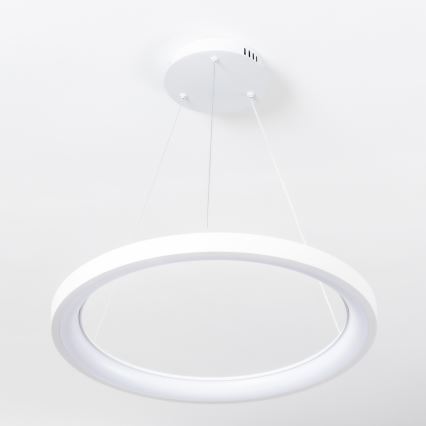 Brilagi - FALCON SLIM LED dimmbar pendel med vajer, 42W/230V, 3000-6500K, Ø 50 cm, vit + fjärrkontroll