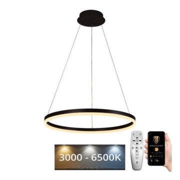 Brilagi - LED-dimbar takpendel på vajer CIRCLE LED/42W/230V 3000-6500K Ø 60 cm + fjärrkontroll
