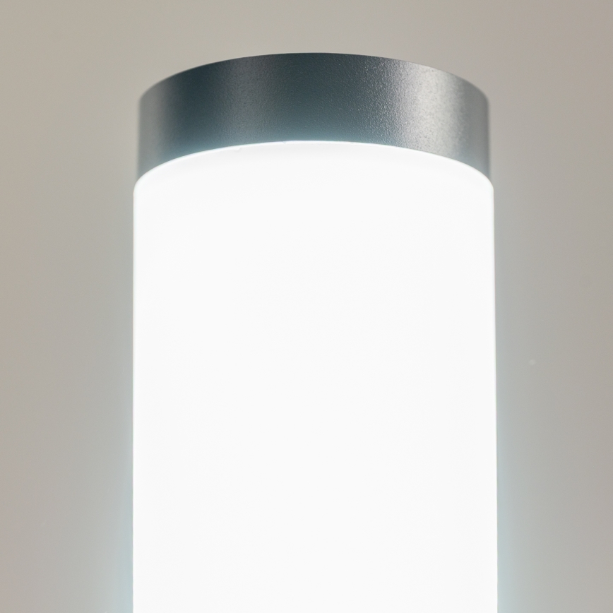 BRILAGI - Dimmbar LED-utomhuslampa ELIA 1xE27/6W/230V 2700-6500K IP44 Wi-Fi 100 cm antracit