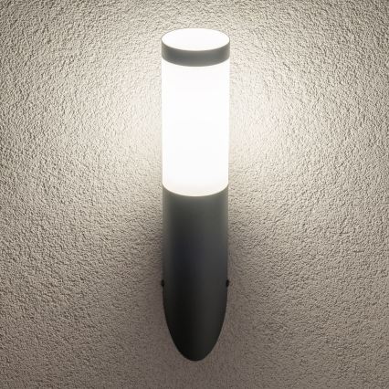 BRILAGI - LED Dimmbar utomhusvägglampa ELIA 1xE27/6W/230V 2700-6500K IP44 Wi-Fi antracit
