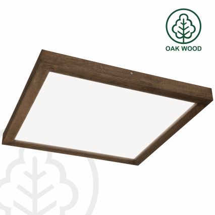 Brilagi - LED dimbar badrumsplafond WOODY FRAME LED/50W/230V ek valnöt 60x60 cm 3000-6000K IP44 + fjärrkontroll