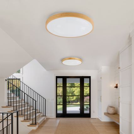 Brilagi - Dimmbar LED-taklampa GLASS POOL DOUBLE LED/80W/230V 3000-6000K 60 cm trädekor + fjärrkontroll