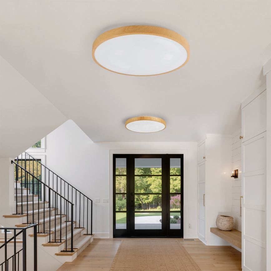 Brilagi - Dimmbar LED-taklampa GLASS POOL DOUBLE LED/80W/230V 3000-6000K 60 cm trädekor + fjärrkontroll