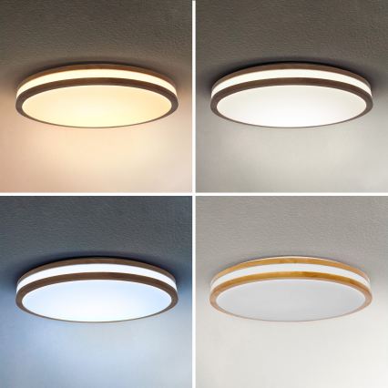 Brilagi - Dimbart LED-takarmatur MOLINA LED/72W/230V 3000-6500K ek Ø 78 cm + fjärrkontroll