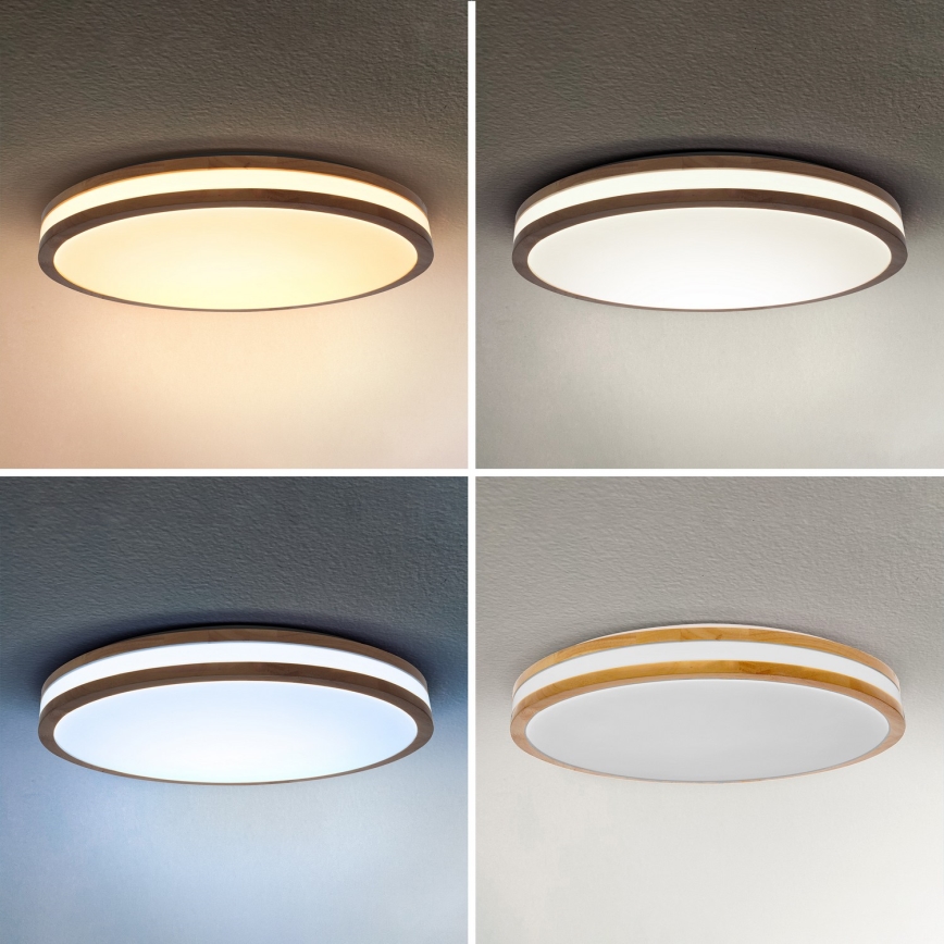 Brilagi - Dimbart LED-takarmatur MOLINA LED/72W/230V 3000-6500K ek Ø 78 cm + fjärrkontroll