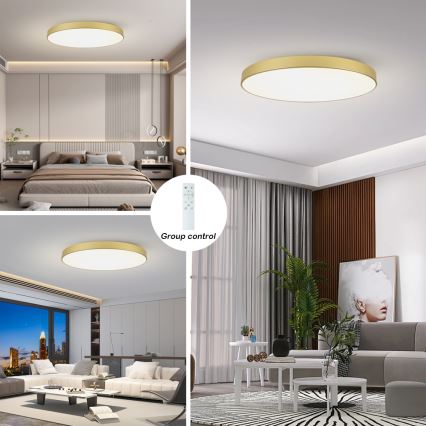 Brilagi - Dimbar LED-takarmatur POOL SMART LED/128W/230V 3000-6000K 100 cm guld Wi-Fi Tuya + fjärrkontroll