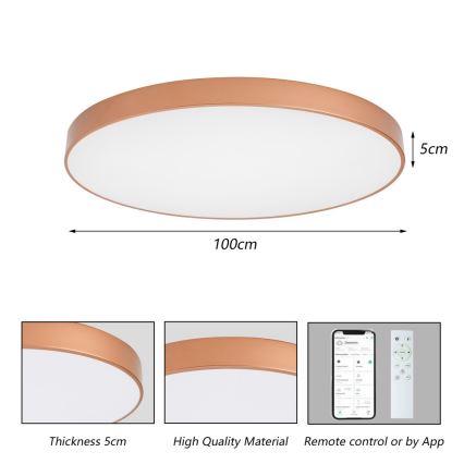 BRILAGI - LED Dimmbar taklampa POOL SMART LED/128W/230V 100 cm 3000-6000K Wi-Fi Tuya brons + fjärrkontroll