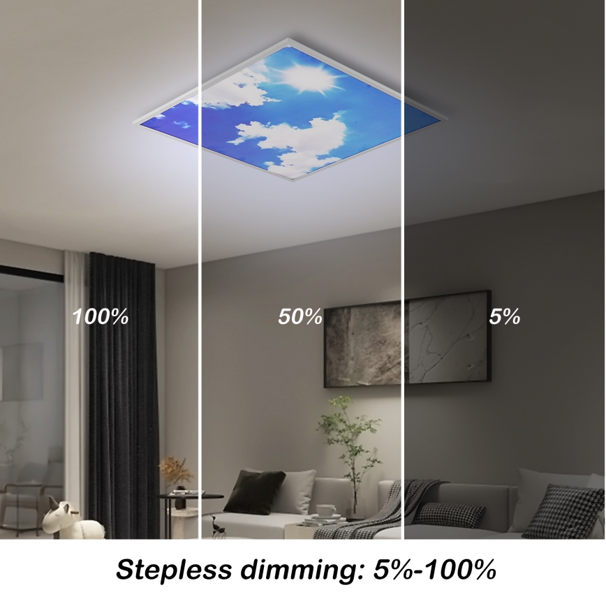 Brilagi - LED-dimbar takarmatur SLIMFRAME SKY LED/58W/230V 60x60 cm 3000-6000K silver/blå + fjärrkontroll