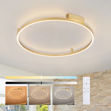 Brilagi - LED-dimbart takarmatur PORTOFINO LED/60W/230V 3000-6000K Ø 80 cm guld + fjärrkontroll