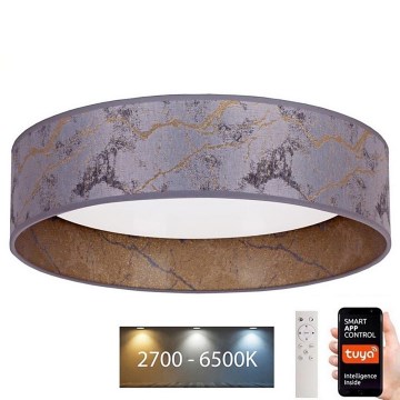 Brilagi - LED Dimbart Taklampa VELVET SMART LED/24W/230V Ø 45 cm 2700-6500K Wi-Fi Tuya grå/guld + fjärrkontroll