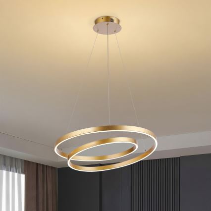 Brilagi - LED dimbar taklampa på vajer TWISTER LED/48W/230V 3000-6000K Ø 50 cm guld + fjärrkontroll