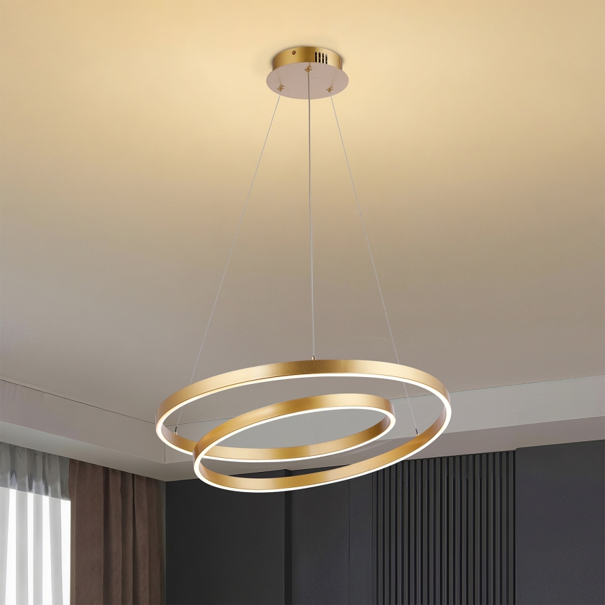 Brilagi - LED dimbar taklampa på vajer TWISTER LED/48W/230V 3000-6000K Ø 50 cm guld + fjärrkontroll