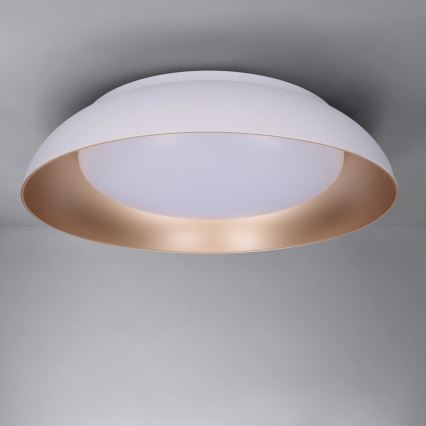 Brilagi - LED-dimbar taklampa ALVA LED/48W/230V 3000-6500K Ø 51 cm vit + fjärrkontroll