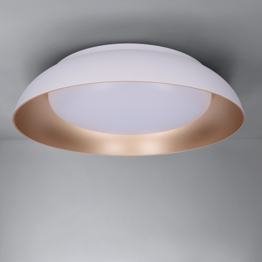 Brilagi - LED-dimbar taklampa ALVA LED/48W/230V 3000-6500K Ø 51 cm vit + fjärrkontroll