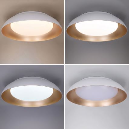 Brilagi - LED-dimbar taklampa ALVA LED/48W/230V 3000-6500K Ø 51 cm vit + fjärrkontroll