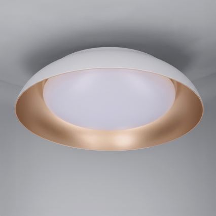 Brilagi - LED-dimbar taklampa ALVA LED/48W/230V 3000-6500K Ø 51 cm vit + fjärrkontroll