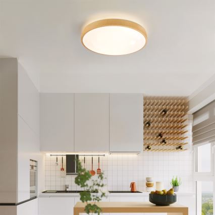 Brilagi - Dimbar LED-taklampa GLASS POOL DOUBLE LED/48W/230V 3000-6000K 40 cm trädekor + fjärrkontroll