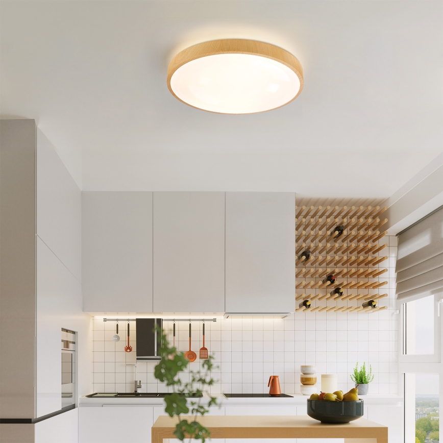 Brilagi - Dimbar LED-taklampa GLASS POOL DOUBLE LED/48W/230V 3000-6000K 40 cm trädekor + fjärrkontroll