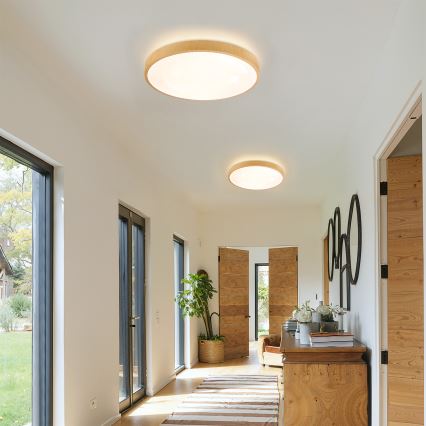 Brilagi - Dimbar LED-taklampa GLASS POOL DOUBLE LED/48W/230V 3000-6000K 40 cm trädekor + fjärrkontroll