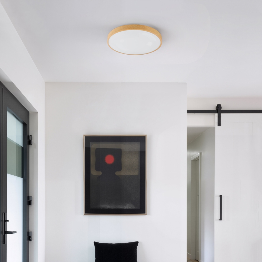 Brilagi - Dimbar LED-taklampa GLASS POOL DOUBLE LED/48W/230V 3000-6000K 40 cm trädekor + fjärrkontroll