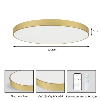 Brilagi - LED dimbar taklampa POOL SMART LED/180W/230V 3000-6000K 120 cm guld Wi-Fi Tuya + fjärrkontroll