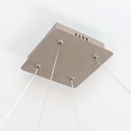 BRILAGI - LED Dimbart takpendel på vajer FALCON SLIM LED/50W/230V 3000-6500K 50x50 cm beige + fjärrkontroll