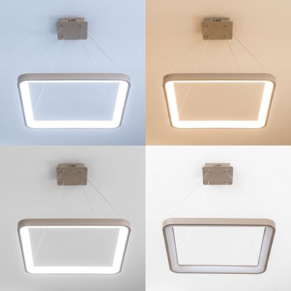 BRILAGI - LED Dimbart takpendel på vajer FALCON SLIM LED/50W/230V 3000-6500K 50x50 cm beige + fjärrkontroll