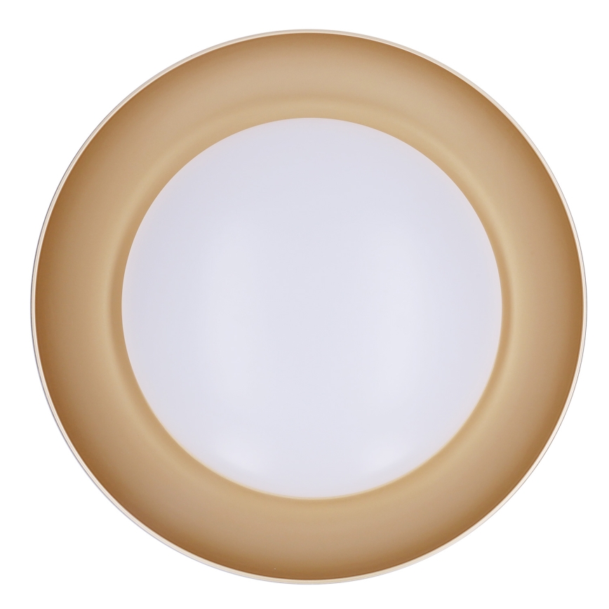 Brilagi - Dimbar LED-taklampa ALVA LED/48W/230V 3000-6500K Ø 51 cm svart + fjärrkontroll