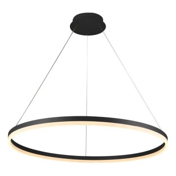 Brilagi - LED-dimmbar pendellampa med vajer CIRCLE LED/55W/230V 3000-6500K Ø 80 cm svart + fjärrkontroll