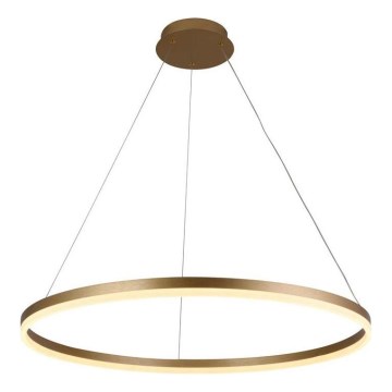 Brilagi - LED-dimmbar pendellampa på kabel CIRCLE LED/55W/230V 3000-6500K Ø 80 cm guld + fjärrkontroll