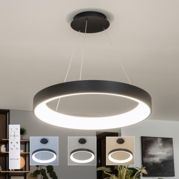 BRILAGI - LED-dimmbar pendellampa på kabel FALCON II LED/99W/230V 3000-6500K Ø 60 cm svart + fjärrkontroll
