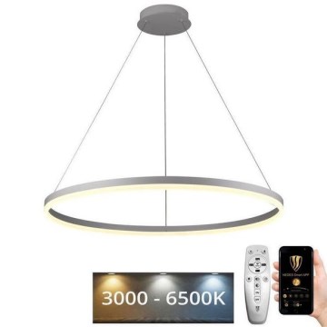 Brilagi - LED dimmbar pendellampa på vajer CIRCLE LED/55W/230V 3000-6500K pr. 80 cm vit + fjärrkontroll