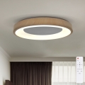 BRILAGI - LED-dimmbar takarmatur DORIA LED/60W/230V 3000–6500 K Ø 60 cm + fjärrkontroll