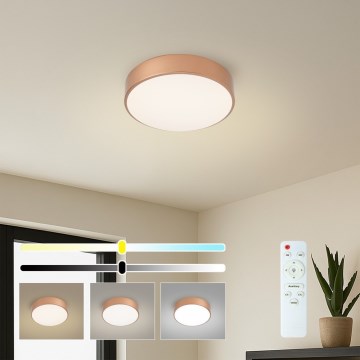 BRILAGI - LED-dimmbar takarmatur POOL LED/24W/230V 3000–6000 K Ø 20 cm bronsfärgad + fjärrkontroll