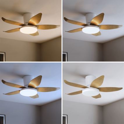 Brilagi - LED-dimmbar takfläkt LED/32W/230V 95 cm vit/brun + fjärrkontroll