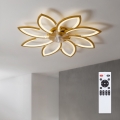 Brilagi - LED-dimmbar takfläkt, LED 43 W, 230 V, 3000–6500 K, Ø 90 cm, guld, inkl. fjärrkontroll