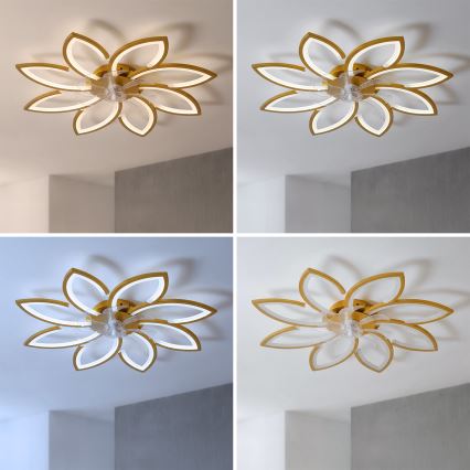 Brilagi - LED-dimmbar takfläkt, LED 43 W, 230 V, 3000–6500 K, Ø 90 cm, guld, inkl. fjärrkontroll