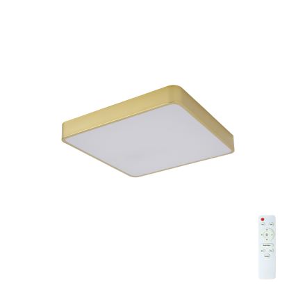 Brilagi - dimbar LED-taklampa POOL LED/36W/230V 3000-6000K 40x40 cm guldfärgad + fjärrkontroll