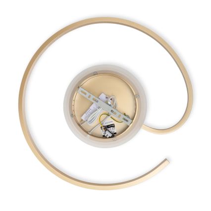 Brilagi - Dimmerbar LED-takarmatur SPIRAL LED/56W/230V Ø 50 cm 3000/4000/6000K + fjärrkontroll